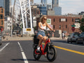 Load image into Gallery viewer, TROXUS LYNX "20" Fat Tire Ebike