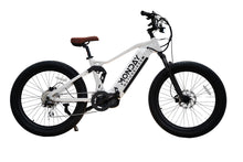 Load image into Gallery viewer, Antero