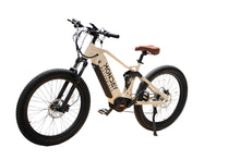 Load image into Gallery viewer, Antero