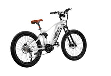 Load image into Gallery viewer, Antero