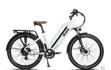 Load image into Gallery viewer, Dirwin Pacer Commuter Ebikes