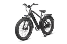 Load image into Gallery viewer, Dirwin Pioneer Fat Tire Electric Bike