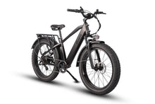 Load image into Gallery viewer, Dirwin Pioneer Fat Tire Electric Bike