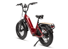Load image into Gallery viewer, TROXUS LYNX PLUS E-BIKE