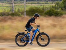 Load image into Gallery viewer, TROXUS EXPLORER STEP-OVER E-BIKE