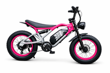 Load image into Gallery viewer, Y&amp;Q Electric Bike
