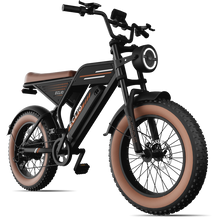 Load image into Gallery viewer, ECLIO Vetus 2 | F02 Electric Bike
