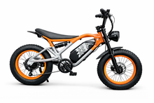 Load image into Gallery viewer, Y&amp;Q Electric Bike
