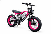 Load image into Gallery viewer, Y&amp;Q Electric Bike
