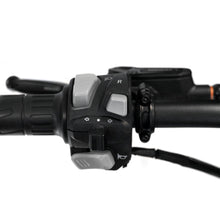 Load image into Gallery viewer, SRPNT X3 BLACK STRIKE
