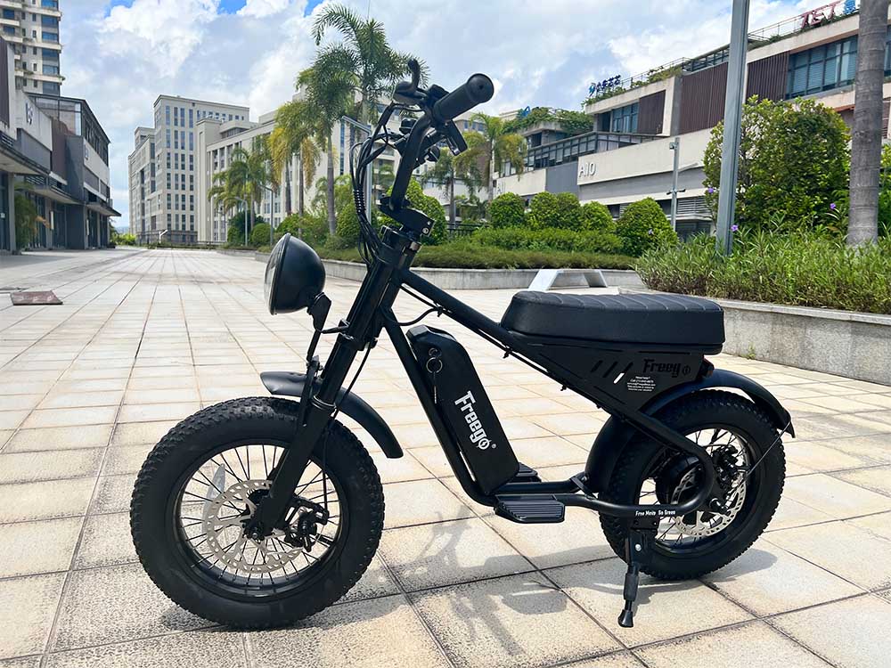 Freego Mini