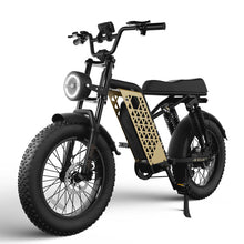 Load image into Gallery viewer, ECLIO Vetus 1 | F01 Fat Tire Electric Bike
