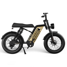 Load image into Gallery viewer, ECLIO Vetus 1 | F01 Fat Tire Electric Bike
