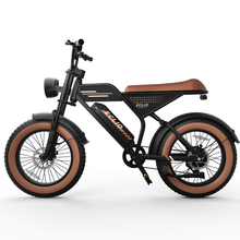 Load image into Gallery viewer, ECLIO Vetus 2 | F02 Electric Bike
